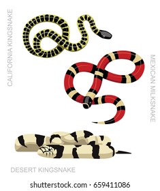 Snake Kingsnake Set Cartoon Vector Illustration