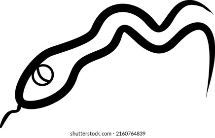 Snake Line Art Icon Logo Illustration And Cartoon Vector