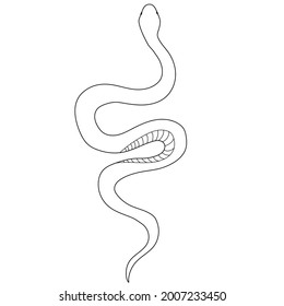 Snake line art tattoo design. Vector flat design. Snake tattoo
