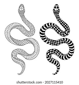 Snake line art white background, for logo design, tatto, Snake Tattoo TATTOO DAY STICKER