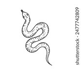 Snake in line style. Hand drawn vector illustration.