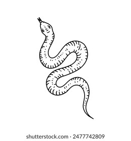 Snake in line style. Hand drawn vector illustration.