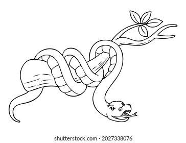 snake line vector illustration isolated white background top view
