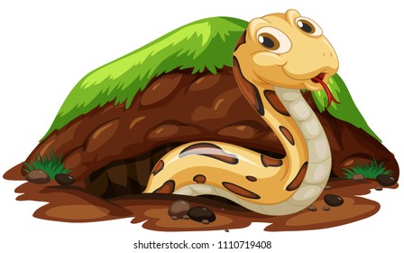 A Snake Living in the Hole illustration