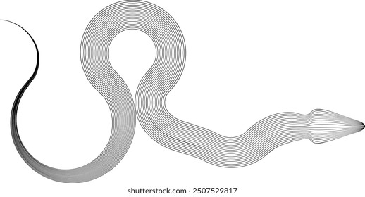 Snake logo. Chinese new year 2025 zodiac snake symbol .design elements .Abstract flow linear fluid shapes .Curved lines pattern . Vector illustration