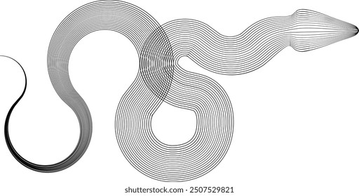 Snake logo. Chinese new year 2025 zodiac snake symbol .design elements .Abstract flow linear fluid shapes .Curved lines pattern . Vector illustration