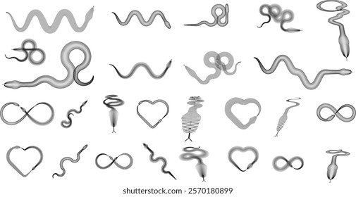 Snake logo. Chinese new year 2025 zodiac snake symbol .design elements .Abstract flow linear fluid shapes .Curved lines pattern . Vector illustration