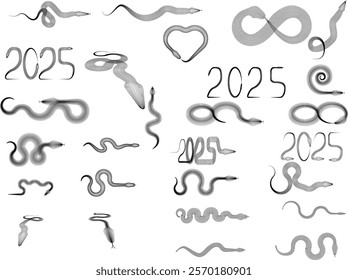 Snake logo. Chinese new year 2025 zodiac snake symbol .design elements .Abstract flow linear fluid shapes .Curved lines pattern . Vector illustration