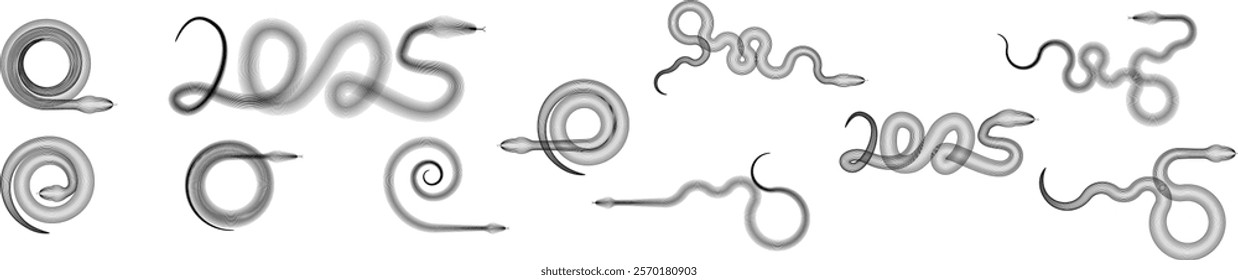 Snake logo. Chinese new year 2025 zodiac snake symbol .design elements .Abstract flow linear fluid shapes .Curved lines pattern . Vector illustration