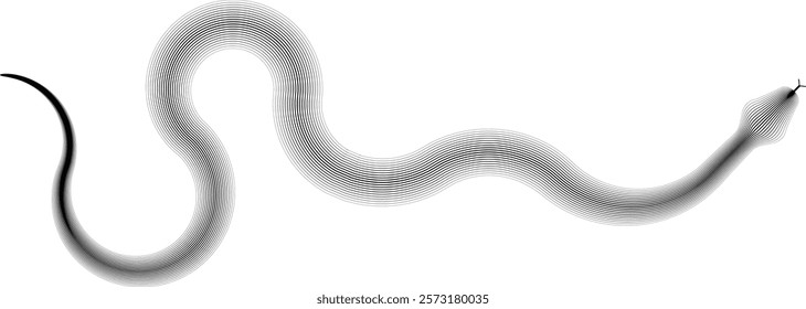 Snake logo. Chinese new year 2025 zodiac snake symbol .design elements .Abstract flow linear fluid shapes .Curved lines pattern . Vector illustration