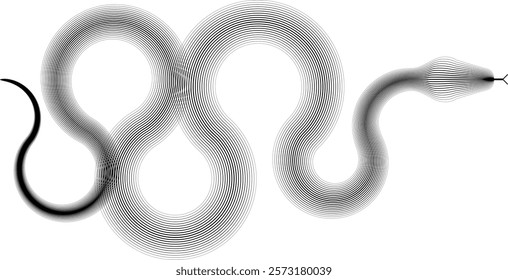 Snake logo. Chinese new year 2025 zodiac snake symbol .design elements .Abstract flow linear fluid shapes .Curved lines pattern . Vector illustration