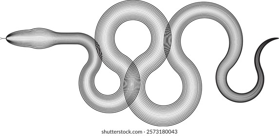 Snake logo. Chinese new year 2025 zodiac snake symbol .design elements .Abstract flow linear fluid shapes .Curved lines pattern . Vector illustration