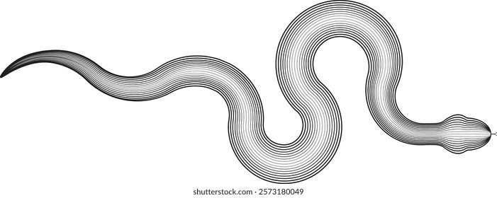 Snake logo. Chinese new year 2025 zodiac snake symbol .design elements .Abstract flow linear fluid shapes .Curved lines pattern . Vector illustration