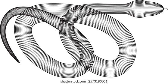 Snake logo. Chinese new year 2025 zodiac snake symbol .design elements .Abstract flow linear fluid shapes .Curved lines pattern . Vector illustration