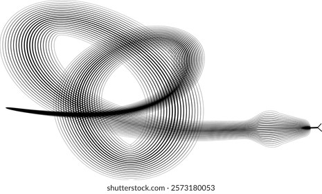 Snake logo. Chinese new year 2025 zodiac snake symbol .design elements .Abstract flow linear fluid shapes .Curved lines pattern . Vector illustration