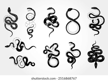 Snake logo. Icon anima Asian New Year symbol. Silhouette sign, nature graphic black tattoo. Element tropical dangerous serpent with scale, tongue viper, python. Vector drawing design, isolated set