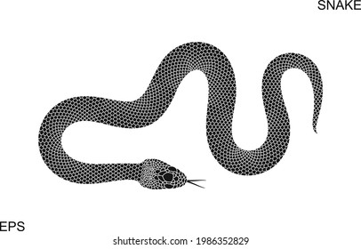 Snake logo. Isolated snake on white background