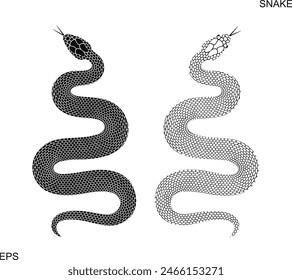 Snake logo. Isolated snake on white background