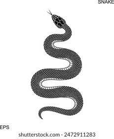 Snake logo. Isolated snake on white background