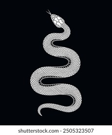 Snake logo. Isolated snake on white background