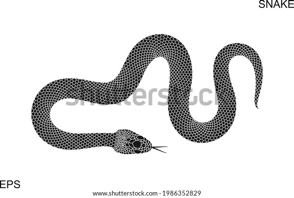 Snake Logo Isolated Snake On White Stock Vector (royalty Free 