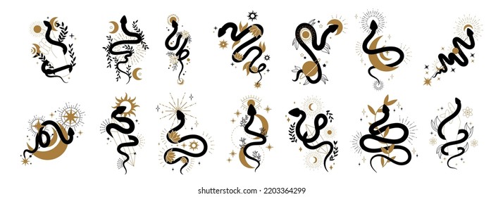 Snake logo, mystic tattoo icons. Fantasy moon, astrology star, spiritual boho gold elements and black reptile silhouette, magic witchcraft signs. Vector illustration isolated elements