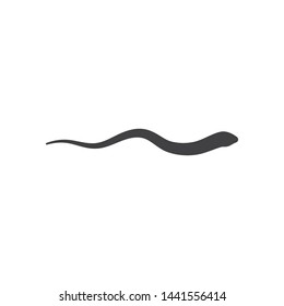 Snake logo vector ilustration template