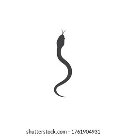 Snake logo vector ilustration template