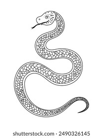 A snake with a long body and a black head. The snake has a black and white pattern on its body