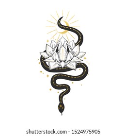 Snake with lotus. Vector hand drawn illustration on white background