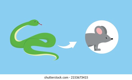 the snake loves to eat the mouse
