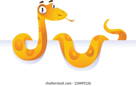 Snake lying down in front of white background