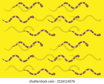 Fondo de fondo de fondo de fondo de fondo de papel transparente para la transmisión de la serpiente