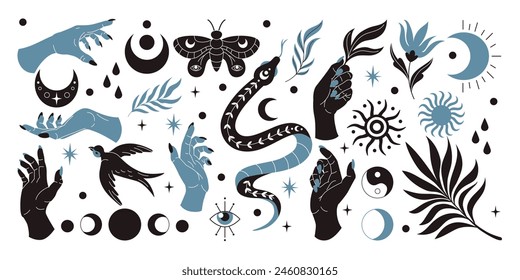 Snake mystic boho set. Sun, bird and eye black silhouette. Esoteric moon, tarot cover design, female hand, bohemian element graphic flower, floral feather, moth. Vector sticker occult tidy celestial