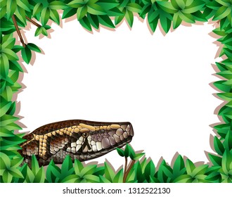 A snake in nature frame illustration