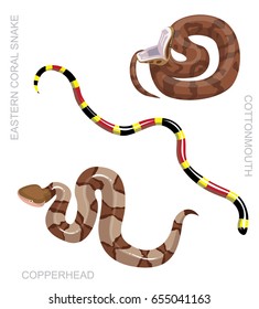 Snake North American Venomous Set Cartoon Vector Illustration