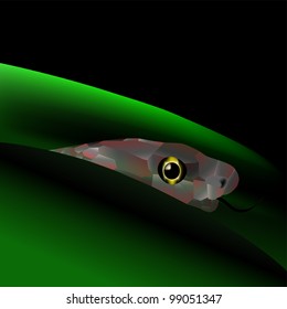 Snake on an abstract background of green and black