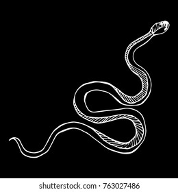 Snake on background vector illustration. Doodle style. Design, print, logo, decor, textile, paper