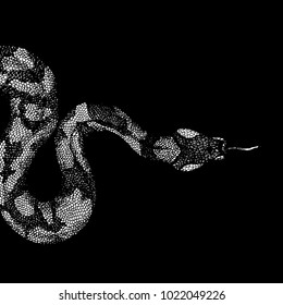 Snake On Black Background,hand Draw