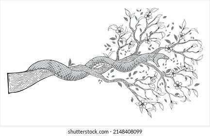 Snake on a flowering branch