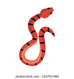 icono de serpiente sobre fondo blanco aislado