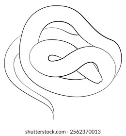 Snake one line drawing on white isolated background. 2025 Chinese New Year