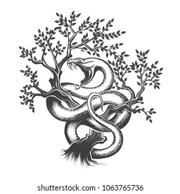 Snake with open mouth crawling up inside a tree drawn in engraving style. Vector illustration.