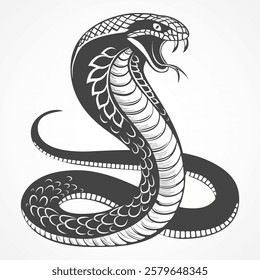 Snake with open mouth and teeth. Vector illustration with clear contours. Cobra symbolizes wisdom and knowledge. Оpen mouth shows the readiness to defend at any moment. Snake sketch for a tattoo.