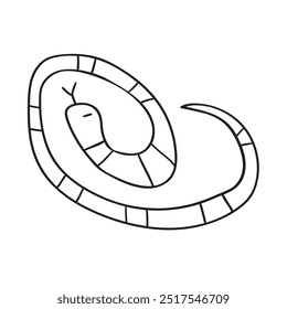 Snake. Outline icon. Black color. Hand drawn graphic design. Illustration on white background.