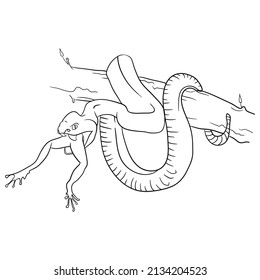 Icono de contorno de serpiente. Insignia animal para el diseño del zoológico. Ilustración vectorial.