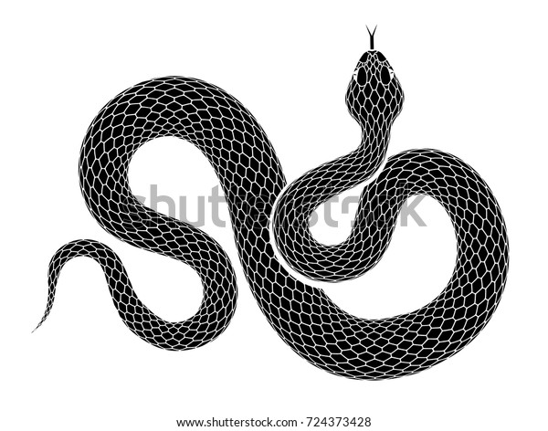 蛇の輪郭イラスト 白い背景に黒い蛇 ベクター画像タトゥーデザイン のベクター画像素材 ロイヤリティフリー 724373428