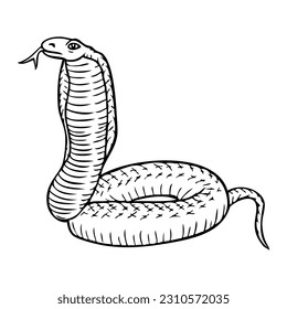 snake outline vector illustration,isolated on white background,top view
