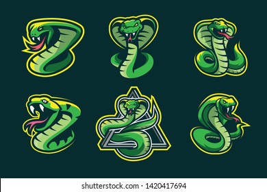 Snake package mascot style isolated on dark green background