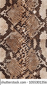 Snake Pattern And Animal Pattern